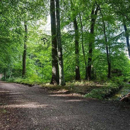 別荘 Ferienhaeuser Luebecker Bucht Strandlaeufer *